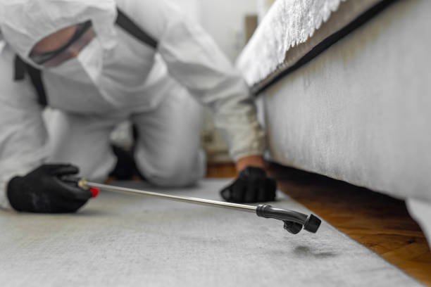 Professional Bed Bug Control technician working in Stewartstown, PA